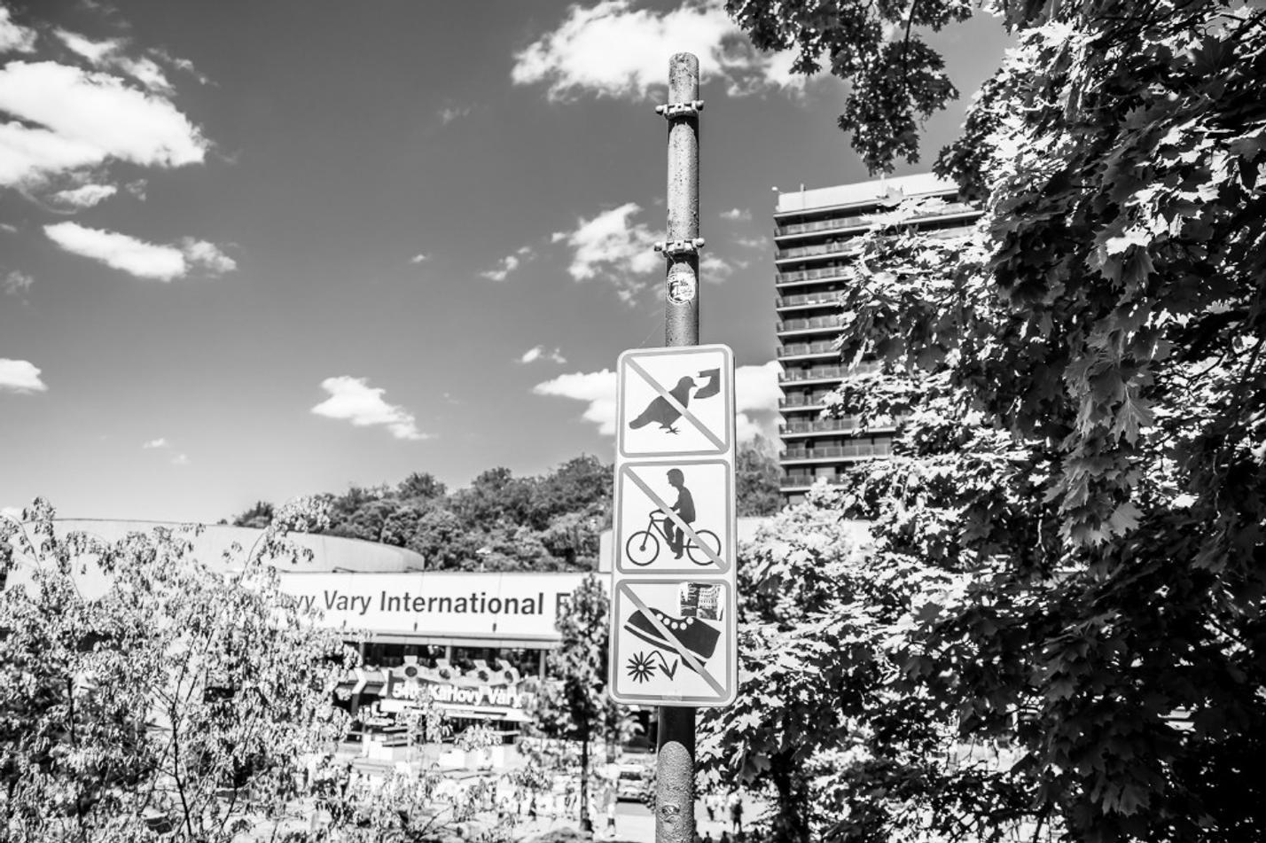 KVIFF_2019 (15) (1)