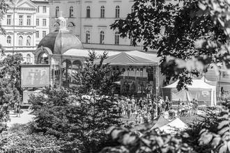 KVIFF_2019 (16) (1)