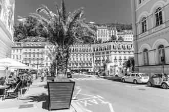 KVIFF_2019 (19) (1)