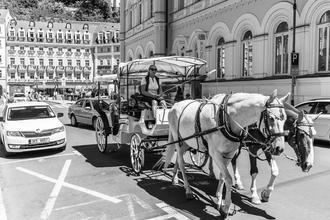 KVIFF_2019 (18) (1)