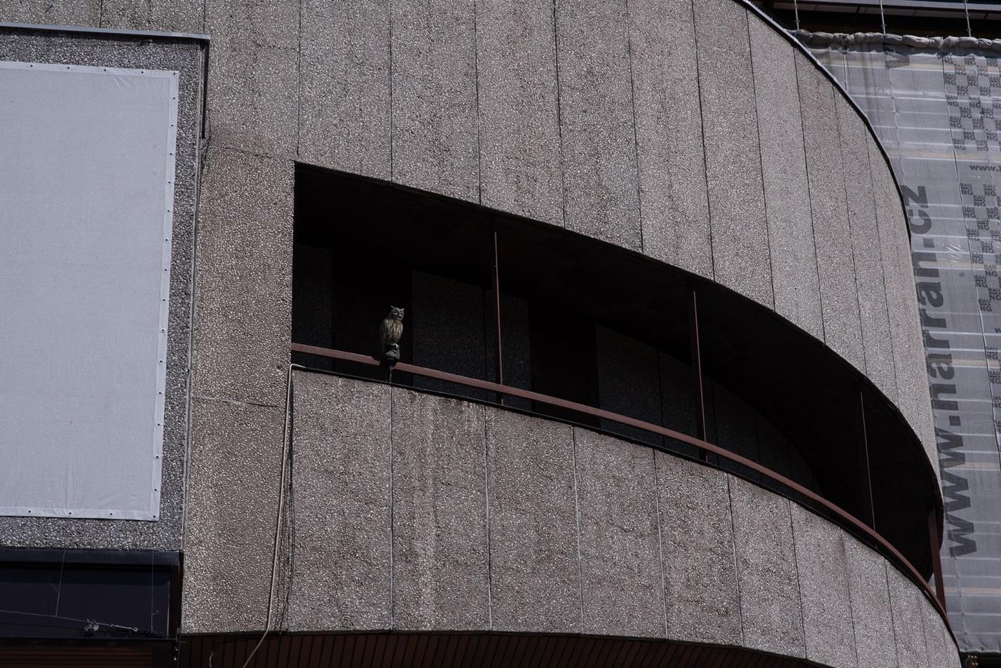 08_kviff_4
