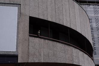 08_kviff_4