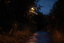 24_kviff_6
