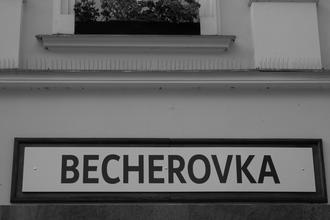 26_kviff_5_z_nahodnych_slov_vetu?