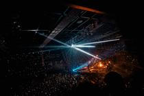 Bonobo