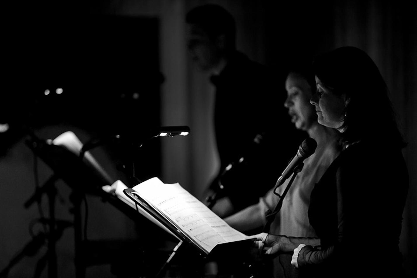 DAVID LANG_PAUL HILLIER_THEATRE OF VOICES_6
