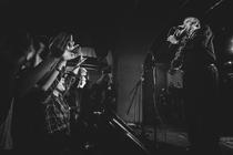 04-The_Sonics