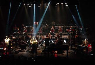 TigerLillies_5