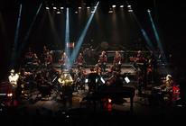 TigerLillies_5