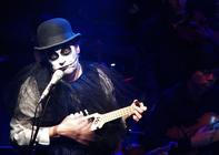 TigerLillies_2