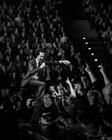Nick Cave-30