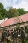 Cesta