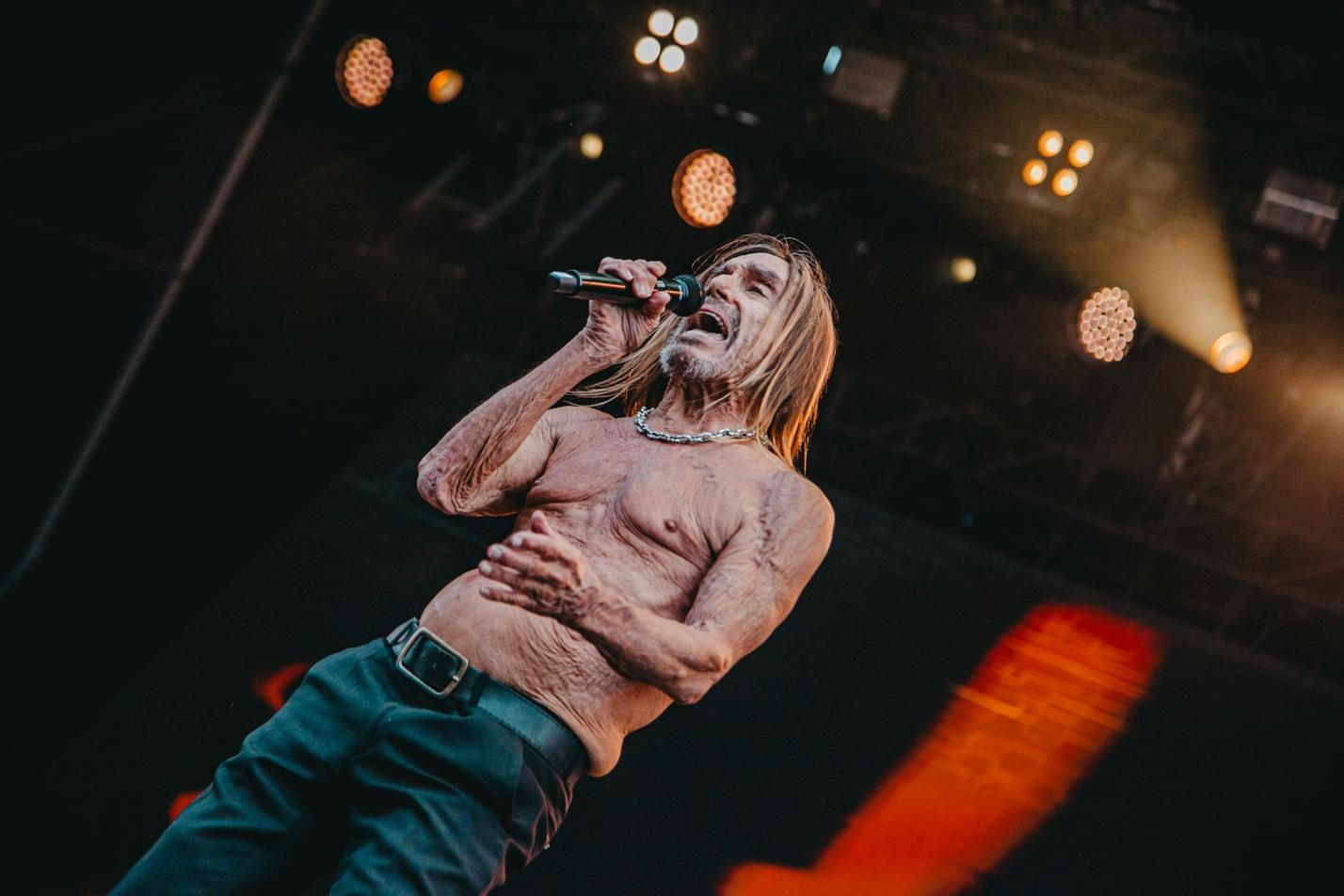 Iggy Pop (2)