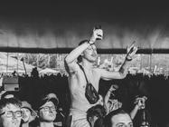 FANS (2) (4)