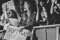 FANS (3) (3)
