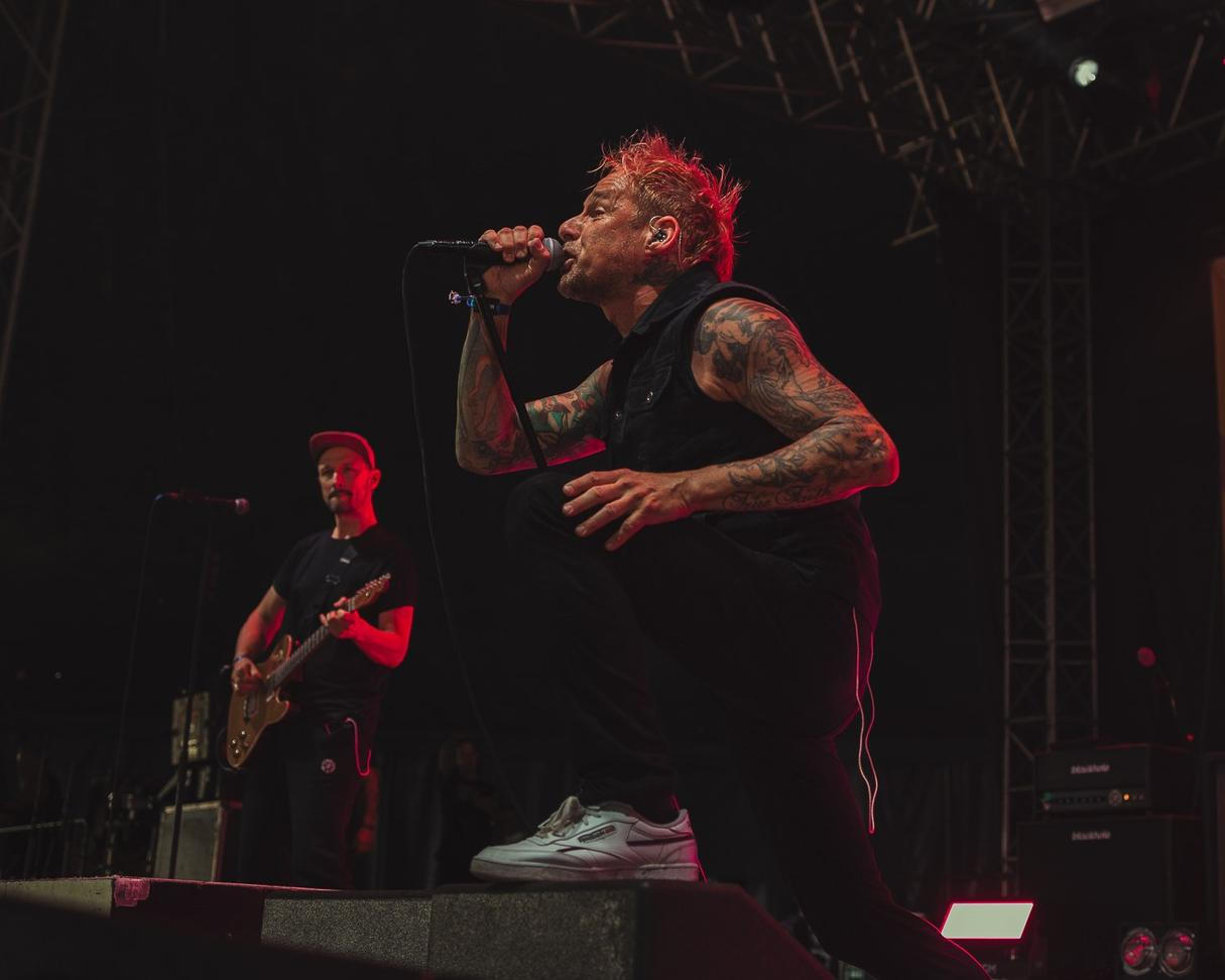 Donots (4)