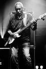 POPA CHUBBY 4