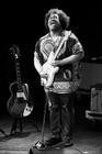 DELVON LAMARR ORGAN TRIO 2