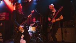 Pall_5 (1)