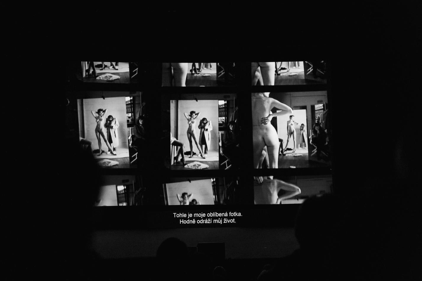 LFŠ2020_Helmut Newton-Nestoudná krása