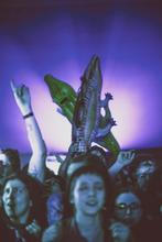King_Gizzard_and_The_Lizard_Wizard (9)