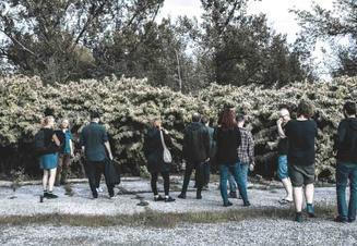 koncert ve křoví