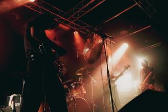 GINGER WIZARD-5