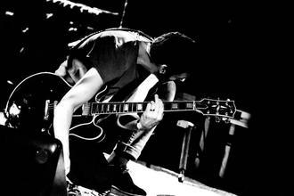BirdPen (8)