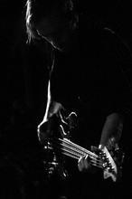 BirdPen (11)