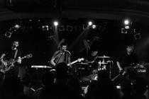 BirdPen (14)