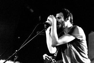 BirdPen (6)