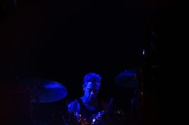 Swans