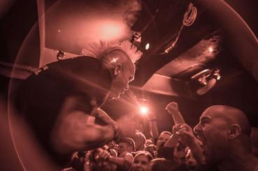 The Exploited (1) (1)