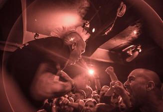 The Exploited (1) (1)