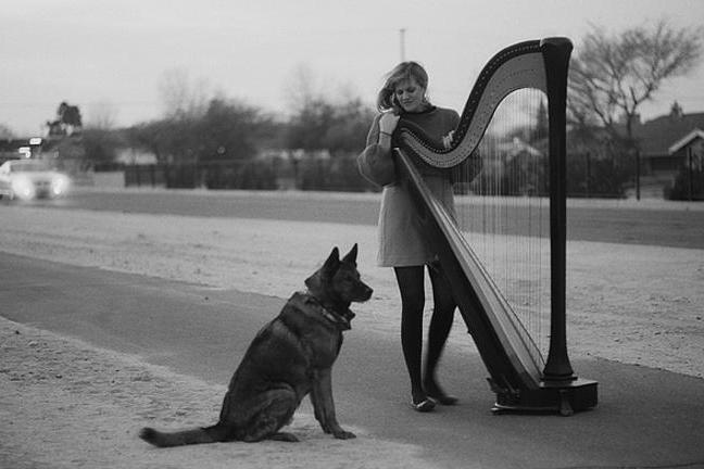 fullmoonzine.cz