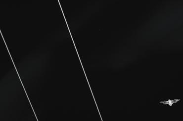 5 (39)