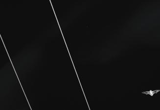 5 (39)