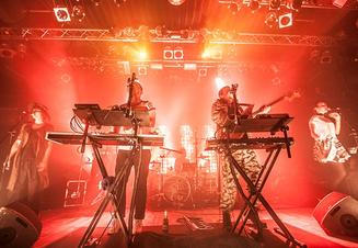2jungle