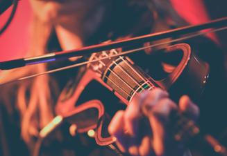 Linn 6
