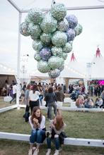 01_Grape Festival