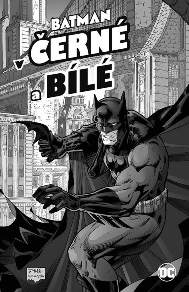 Batman_v Cerne_a_bile_cover