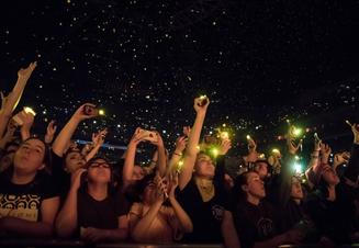 Fans 2 (1)