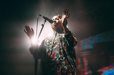 BONOBO2