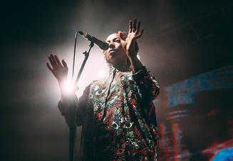 BONOBO2