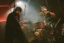 Birds in Row