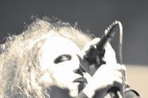 the cure 11