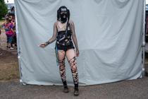 Fans (10)