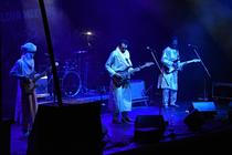 46-Bombino