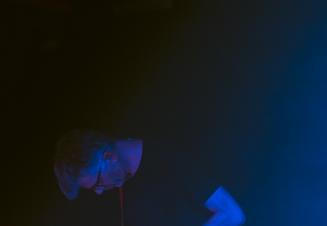 the legendary pink dots-7