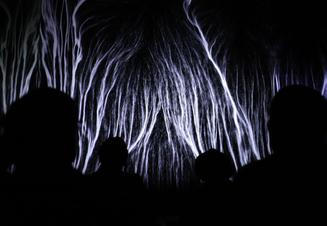 4_multiverse